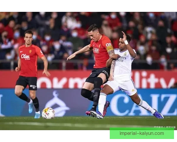 南美杯黑马冠军状态回暖，球队竞争力增强引发关注